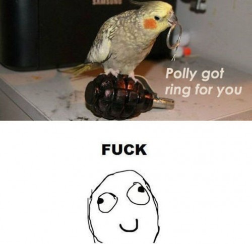 hornoxe.com_picdump303_153