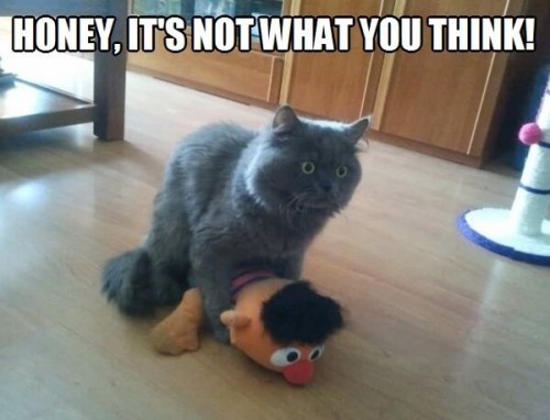 hornoxe.com_picdump303_165