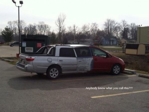 hornoxe.com_picdump303_175