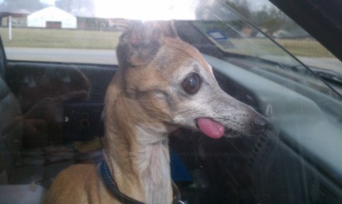 hornoxe.com_picdump304_008