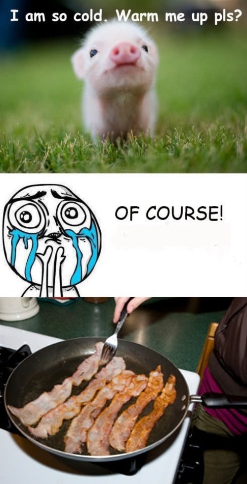 hornoxe.com_picdump304_011