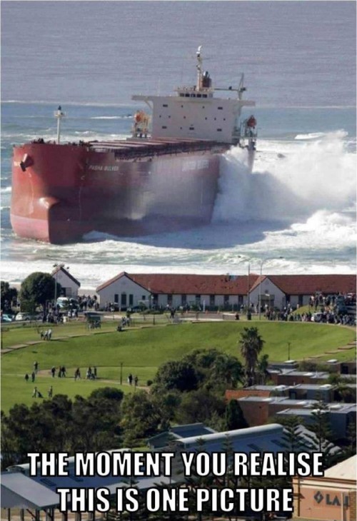 hornoxe.com_picdump304_031