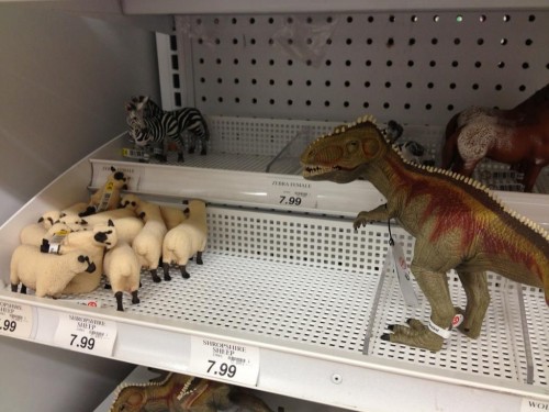 hornoxe.com_picdump304_047