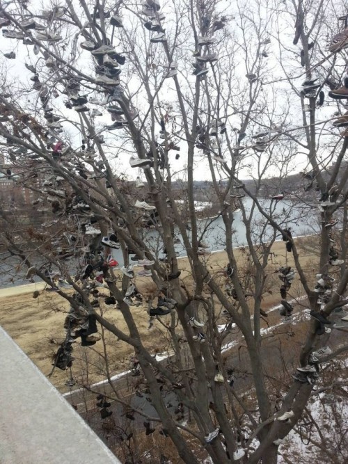 hornoxe.com_picdump304_067