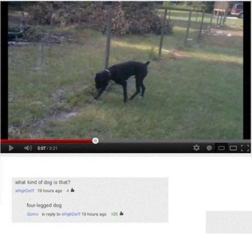 hornoxe.com_picdump304_080