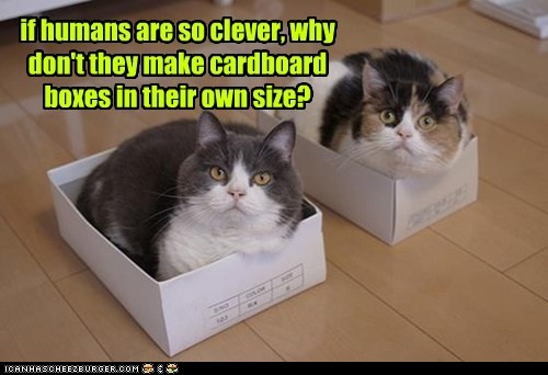 hornoxe.com_picdump304_092