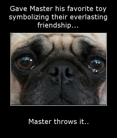 hornoxe.com_picdump304_097