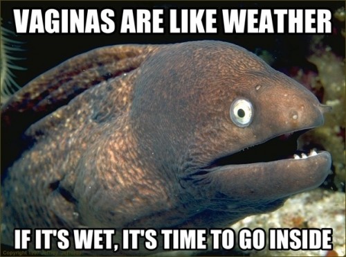 hornoxe.com_picdump304_107