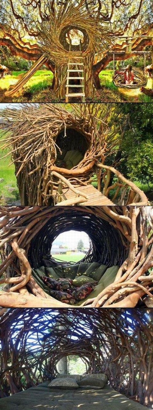 hornoxe.com_picdump304_140