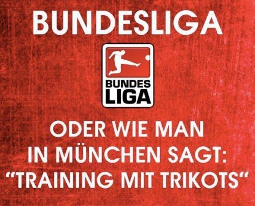 hornoxe.com_picdump305_017