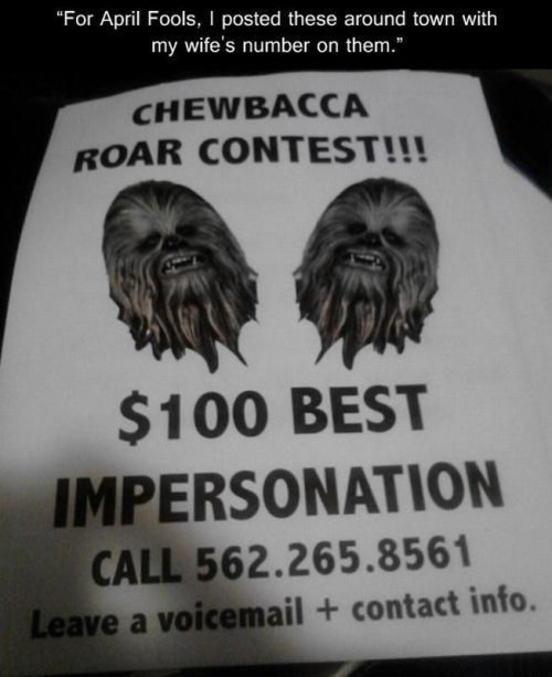 hornoxe.com_picdump305_061