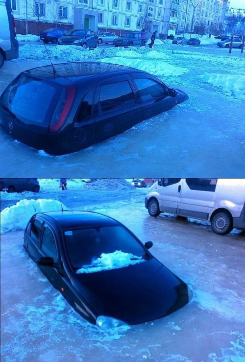 hornoxe.com_picdump305_091