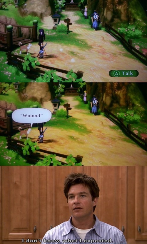 hornoxe.com_picdump305_092