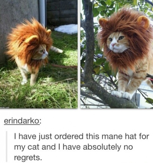 hornoxe.com_picdump305_101