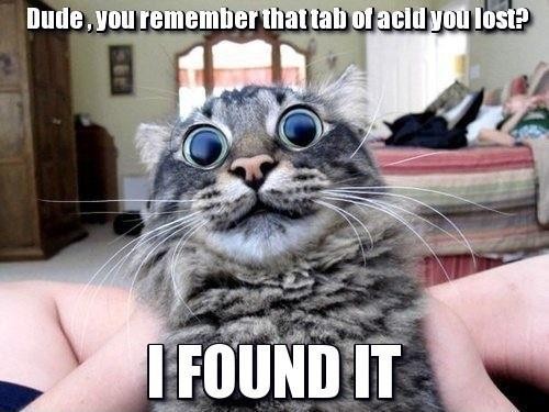 hornoxe.com_picdump305_102