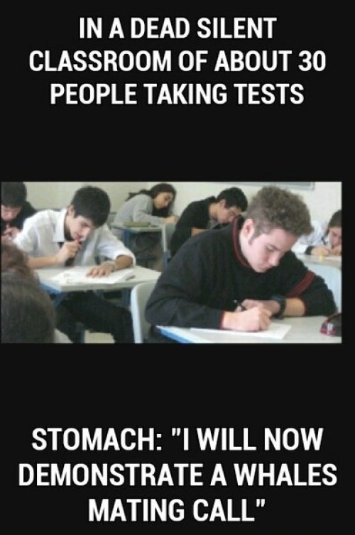 hornoxe.com_picdump305_112