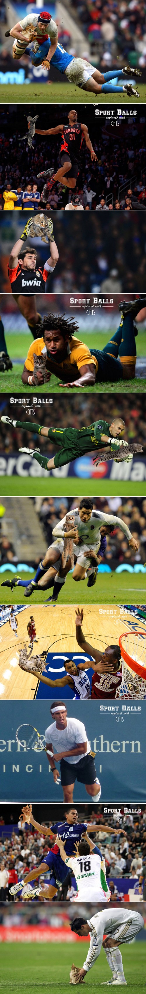 hornoxe.com_picdump307_004