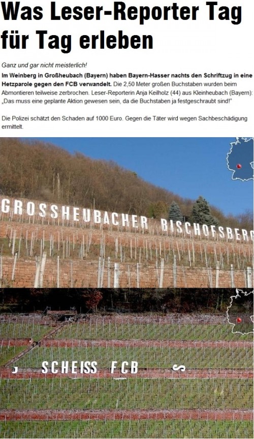 hornoxe.com_picdump307_014