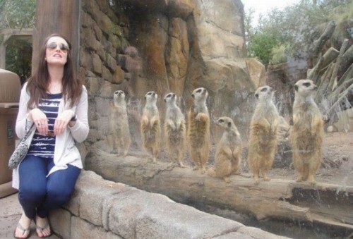 hornoxe.com_picdump307_052