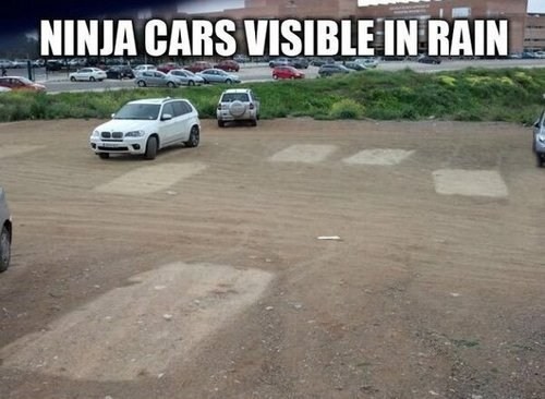 hornoxe.com_picdump307_080