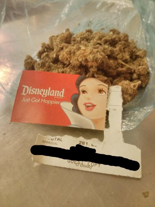 hornoxe.com_picdump307_111