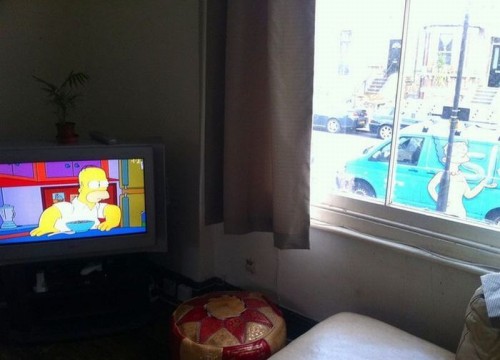 hornoxe.com_picdump307_119