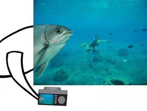 hornoxe.com_picdump307_120