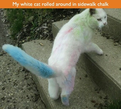 hornoxe.com_picdump307_139