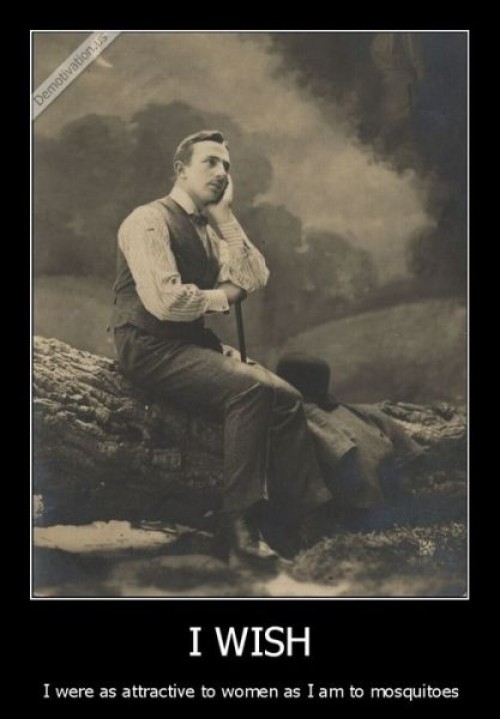 hornoxe.com_picdump308_001