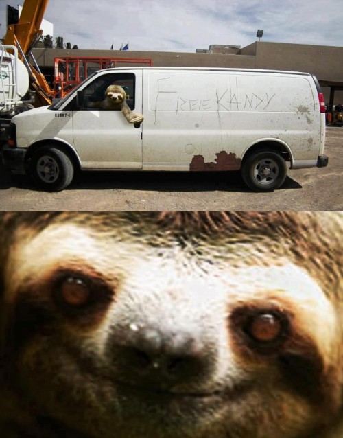 hornoxe.com_picdump308_026