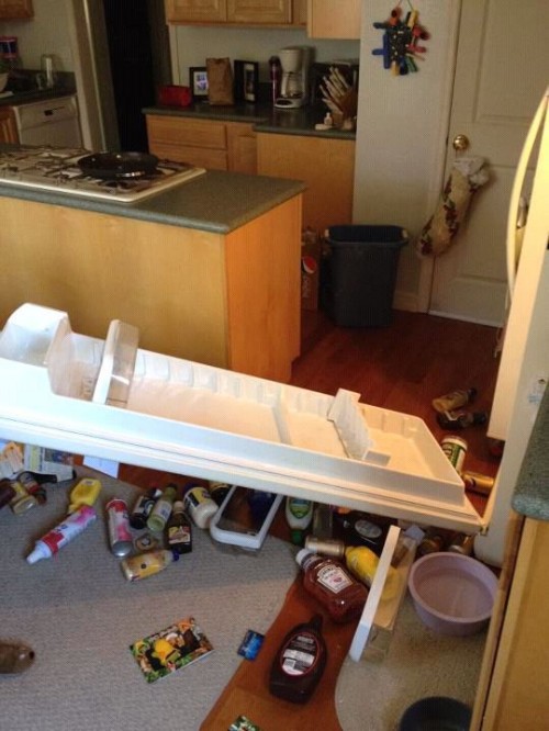 hornoxe.com_picdump308_074