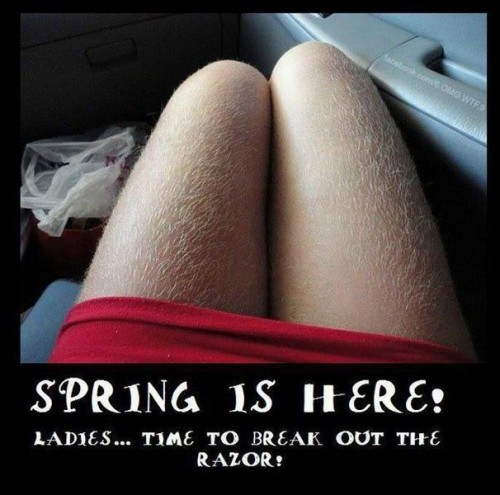 hornoxe.com_picdump308_083