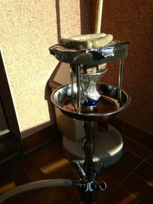 hornoxe.com_picdump308_128