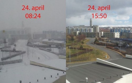 hornoxe.com_picdump308_137