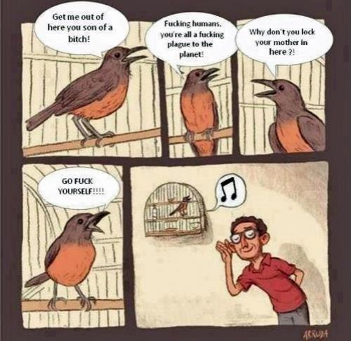 hornoxe.com_picdump308_147