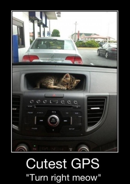 hornoxe.com_picdump308_164