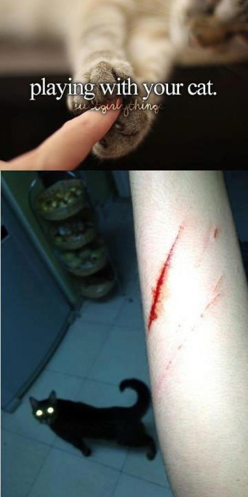 hornoxe.com_picdump309_024