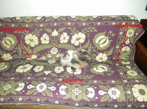 hornoxe.com_picdump309_091