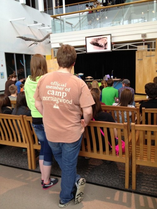 hornoxe.com_picdump309_093