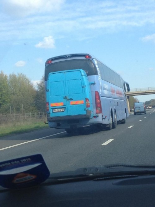 hornoxe.com_picdump309_124