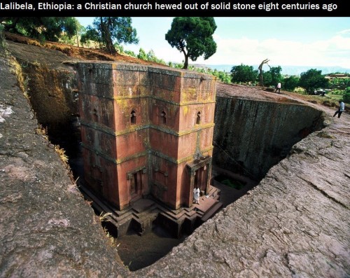 hornoxe.com_picdump309_130