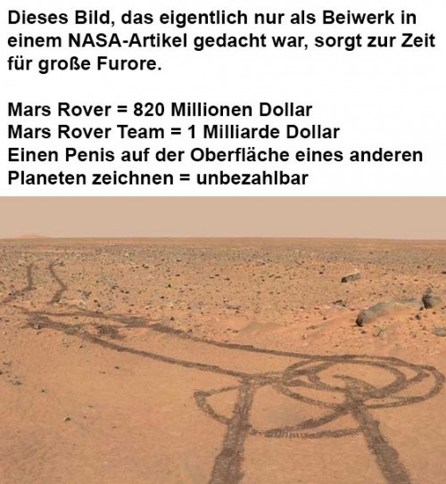 hornoxe.com_picdump309_155