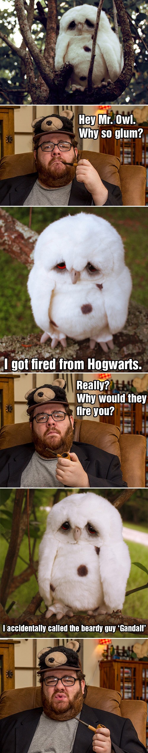 hornoxe.com_picdump310_012