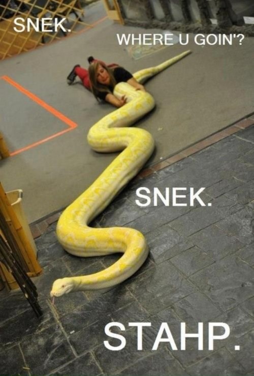 hornoxe.com_picdump310_018