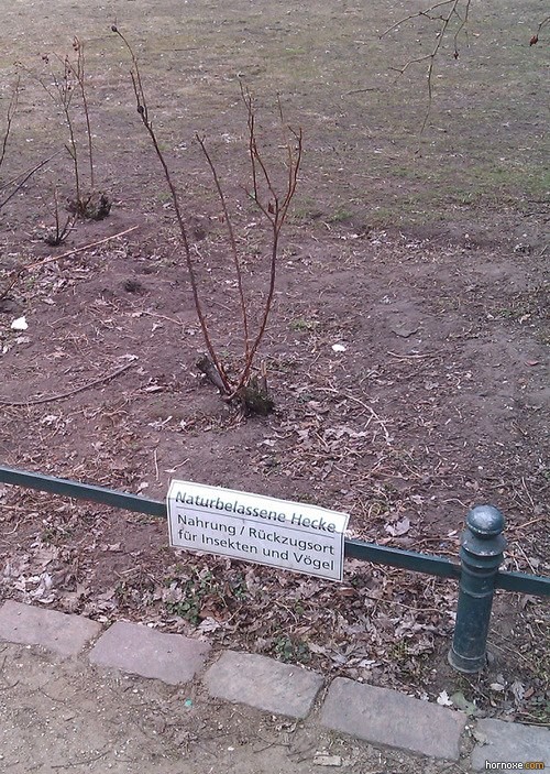 hornoxe.com_picdump310_020