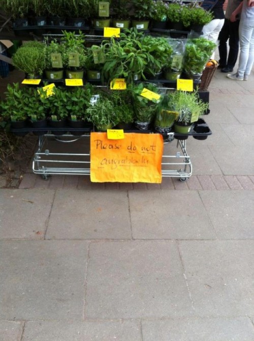 hornoxe.com_picdump310_026