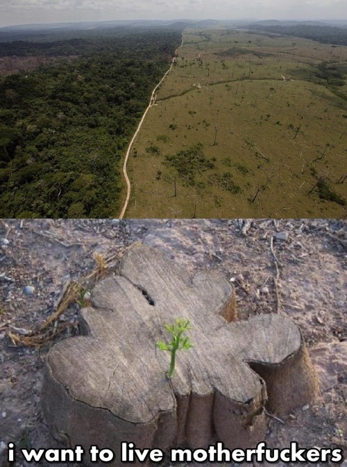 hornoxe.com_picdump310_027