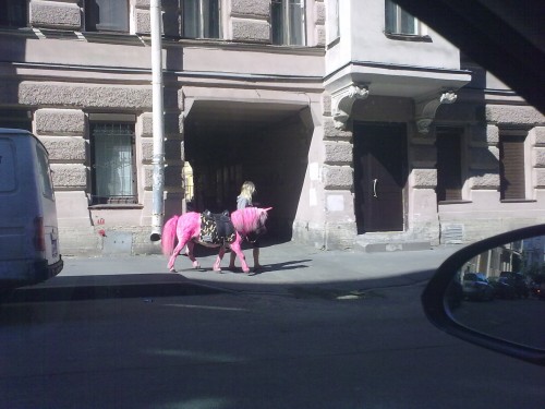 hornoxe.com_picdump310_028