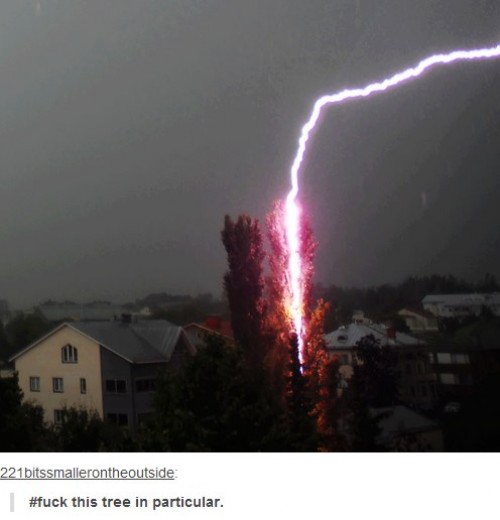 hornoxe.com_picdump310_030