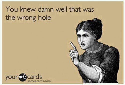 hornoxe.com_picdump310_036